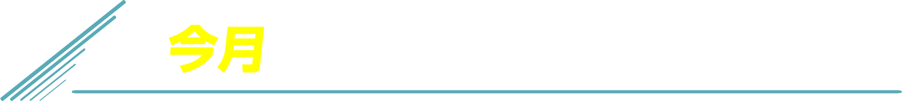 今月の来店取材スケジュール